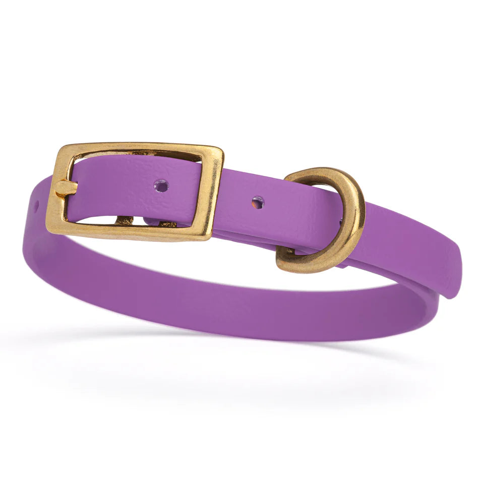 Viper Biothane Waterproof Collar with Brass Hardware