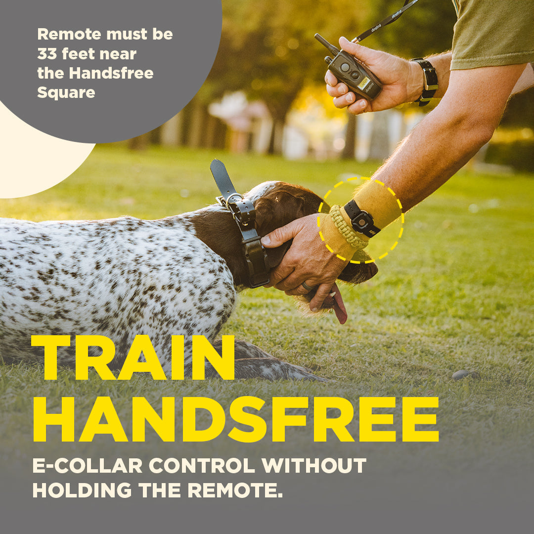Dogtra Handsfree Square