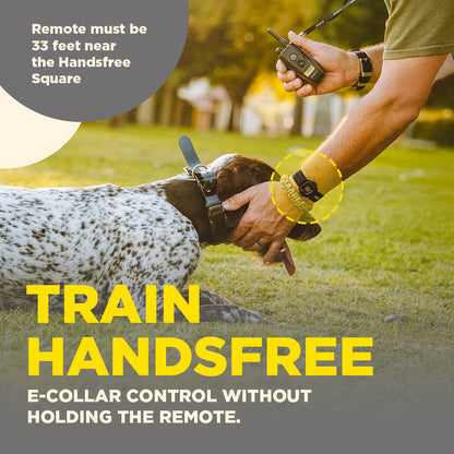 Dogtra Handsfree Square