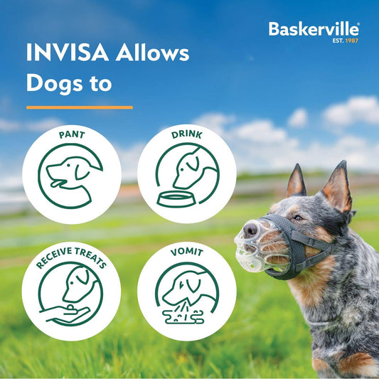 Baskerville Invisa