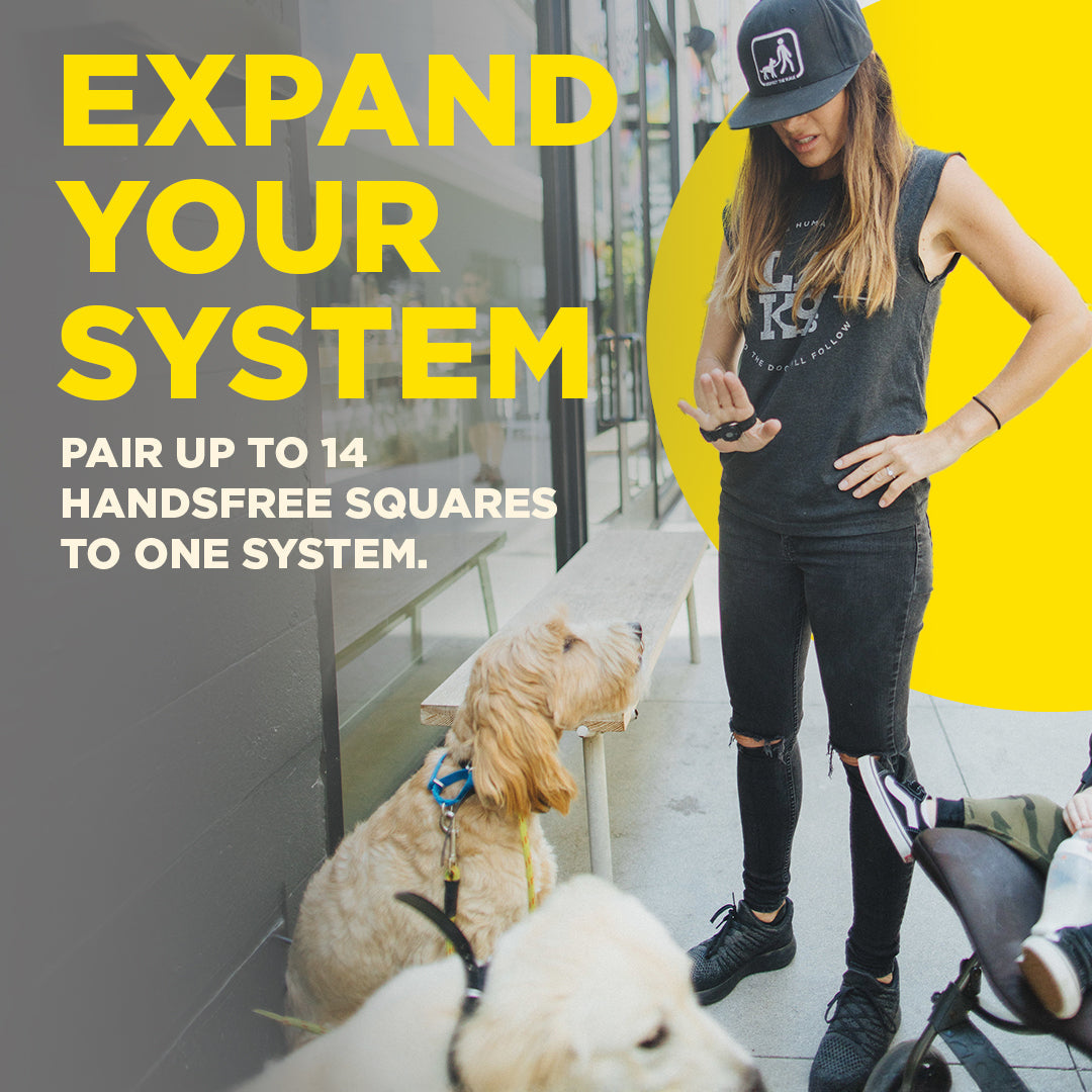 Dogtra Handsfree Square