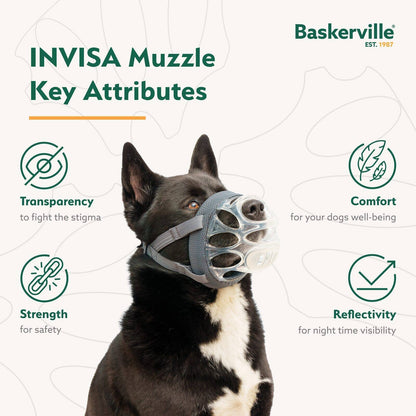 Baskerville Invisa