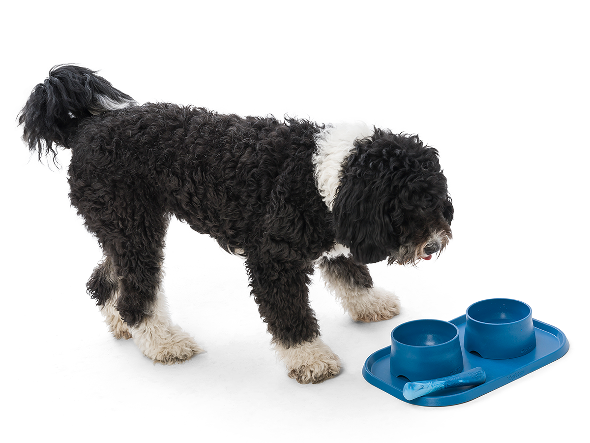 West Paw - No-Slip Dog Feeding Water Bowl