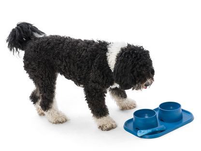 West Paw - No-Slip Dog Feeding Water Bowl
