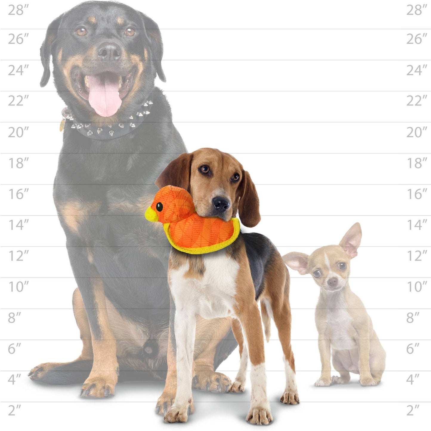 DuraForce Duck - Orange - Squeaky Dog Toy