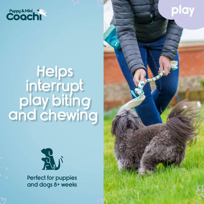 Coachi Puppy & Mini Tuggi Tug Teal & Mint