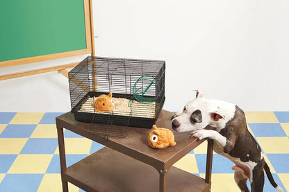 BARK Tinkles The Gerbil - Performance Dog Supply