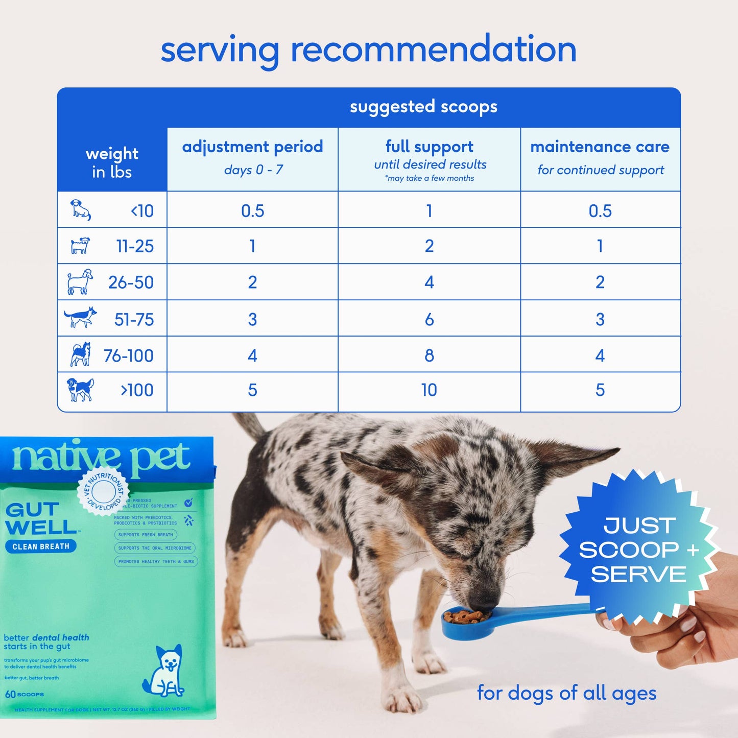 Native Pet - Native Pet GutWell Clean Breath, Dog Dental Care Supplement