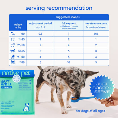 Native Pet - Native Pet GutWell Clean Breath, Dog Dental Care Supplement