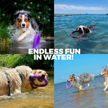 Puller - Agility Training Fetch Ring - Performance Dog Supply