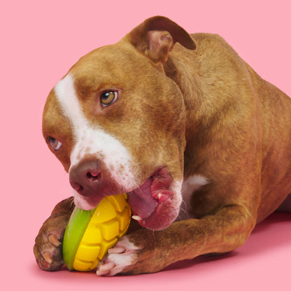 BARK Super Chewer Go Mango Dog Chew Toy L