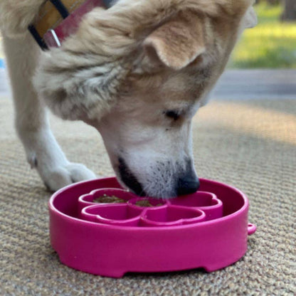 Flower Design Enrichment Slow Feeder Bowl - Performance Dog Supply