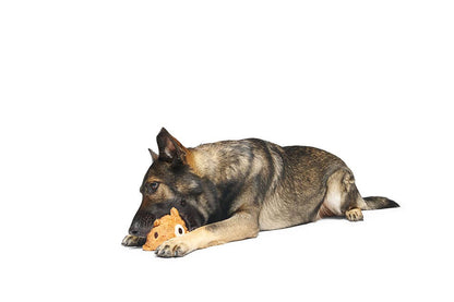 BARK Tinkles The Gerbil - Performance Dog Supply