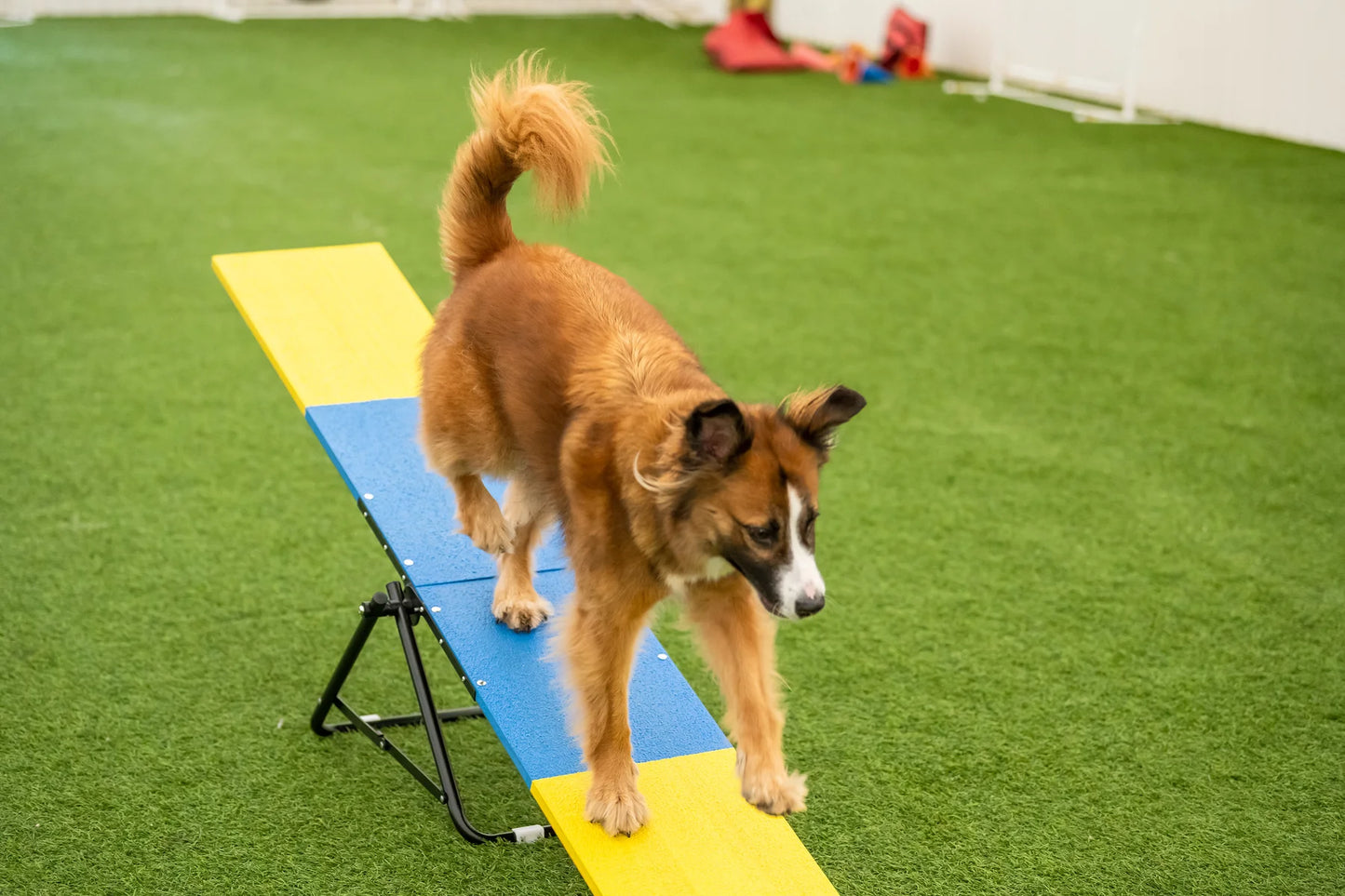 Mini Practice Teeter