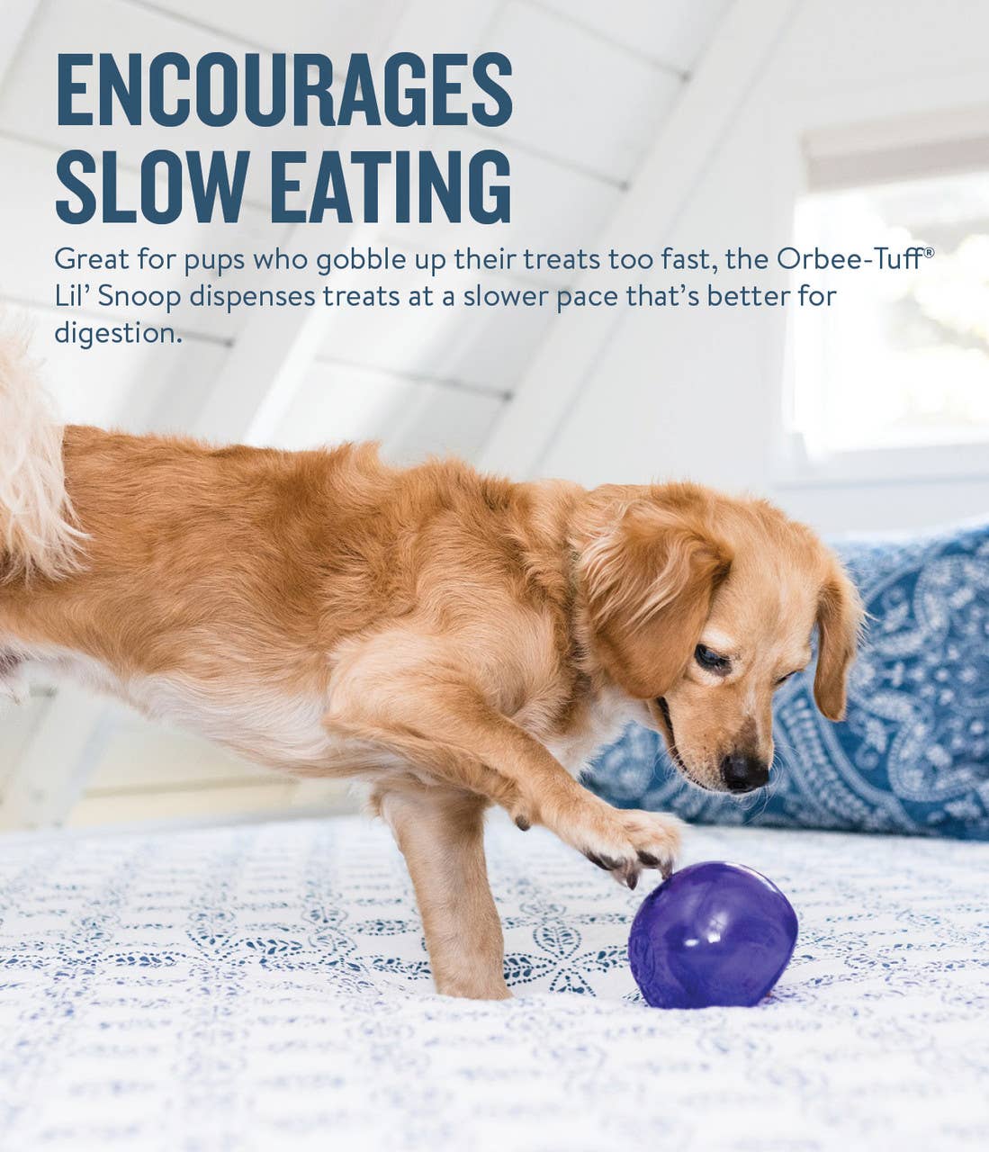 Planet Dog Orbee-Tuff Lil Snoop Treat-Dispensing Toy