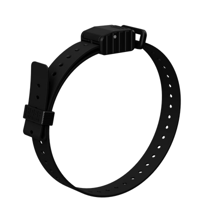 Hoss Straps 1” Replacement E-Collar Band