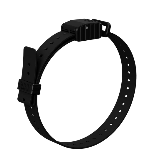 Hoss Straps 1” Replacement E-Collar Band