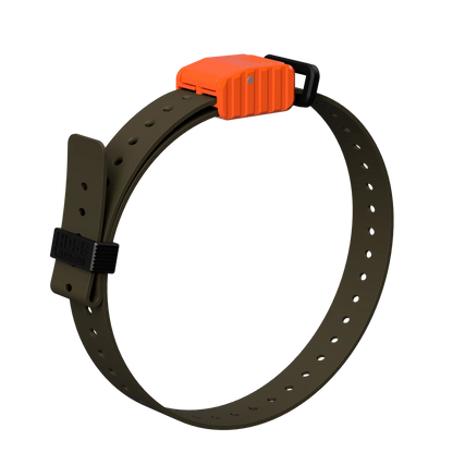 Hoss Straps 1” Replacement E-Collar Band