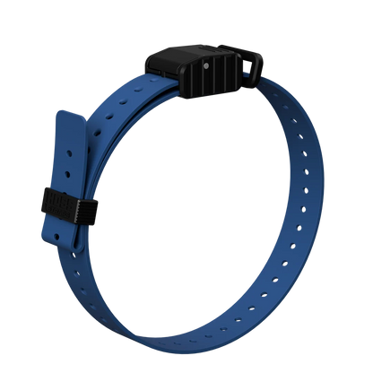 Hoss Straps 1” Replacement E-Collar Band