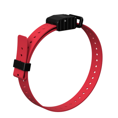 Hoss Straps 1” Replacement E-Collar Band