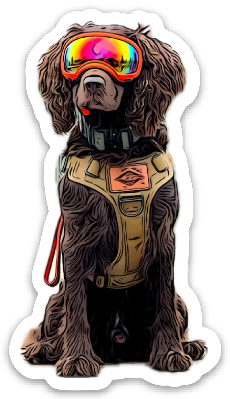 Drake Sticker