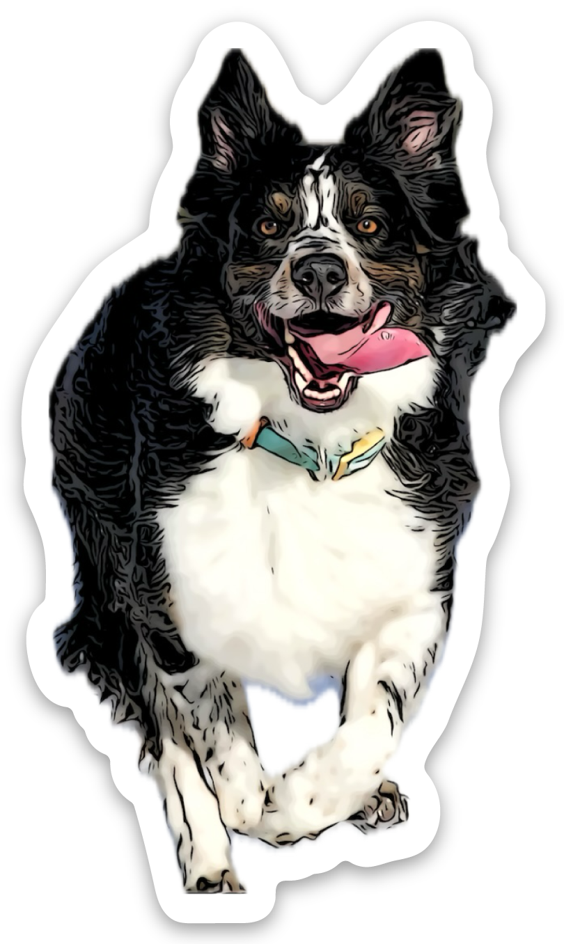 Sig Sticker
