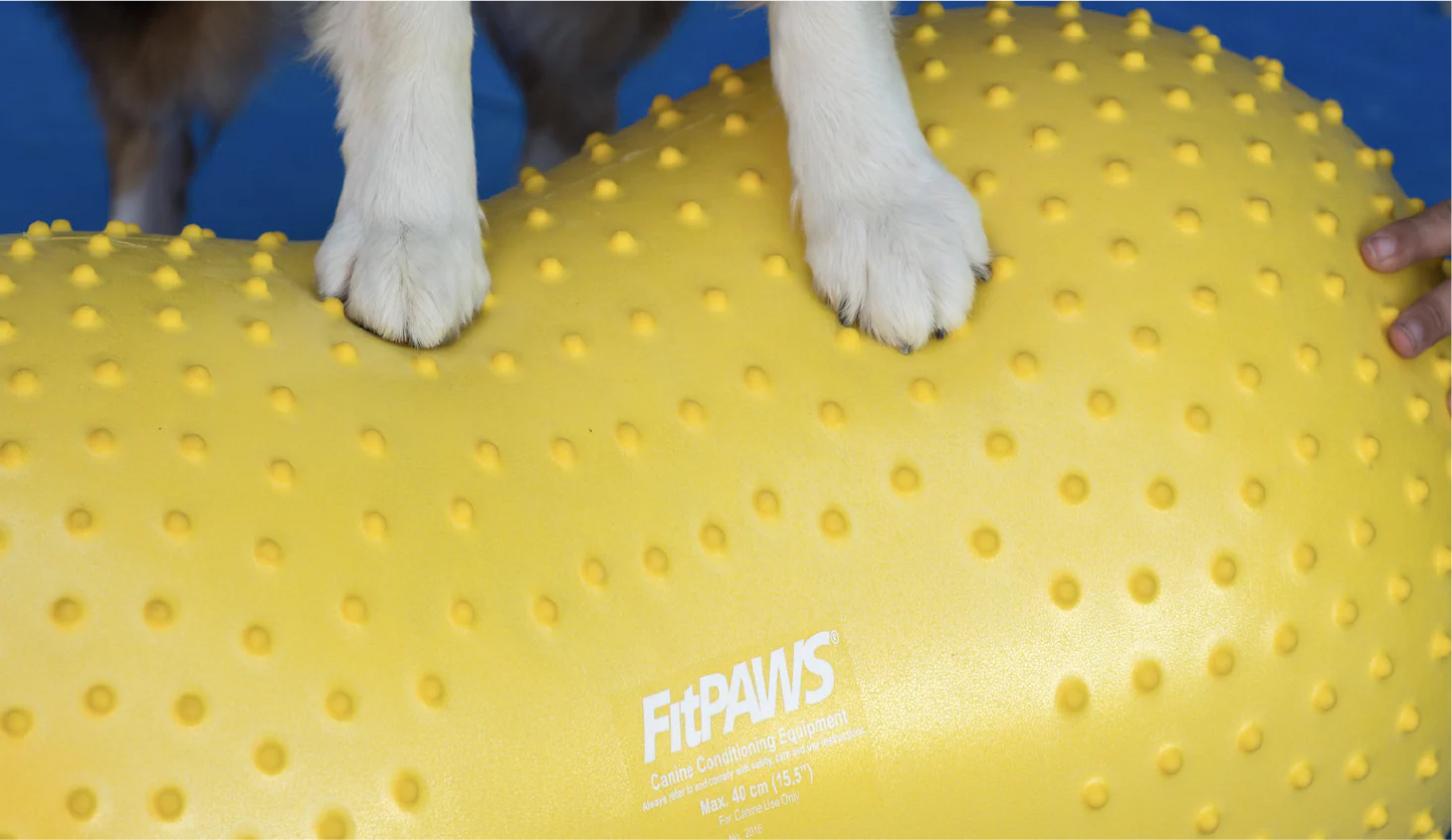 FitPAWS - FitPaws Trax Peanut