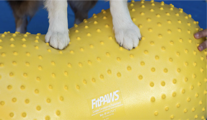 FitPAWS - FitPaws Trax Peanut