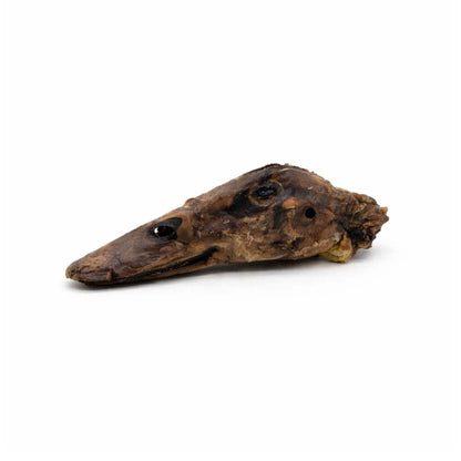 Bulk - Dehydrated Duck Heads – 30 Count