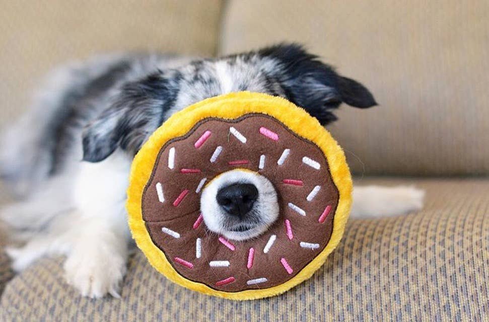 ZippyPaws Donut Chocolate