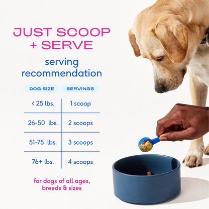 Native Pet - Hip+Joint Advanced Care Powder Joint, Muscle & Inflammation
