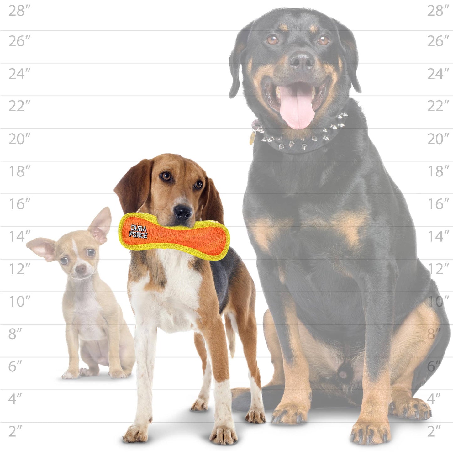 DuraForce JR Bone - Orange - Squeaky Dog Toy