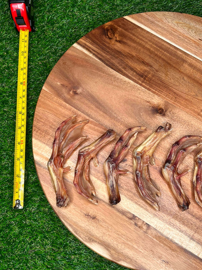 Duck Feet 75pc Bulk Dog Chew Natural Single Ingredient - Performance Dog Supply