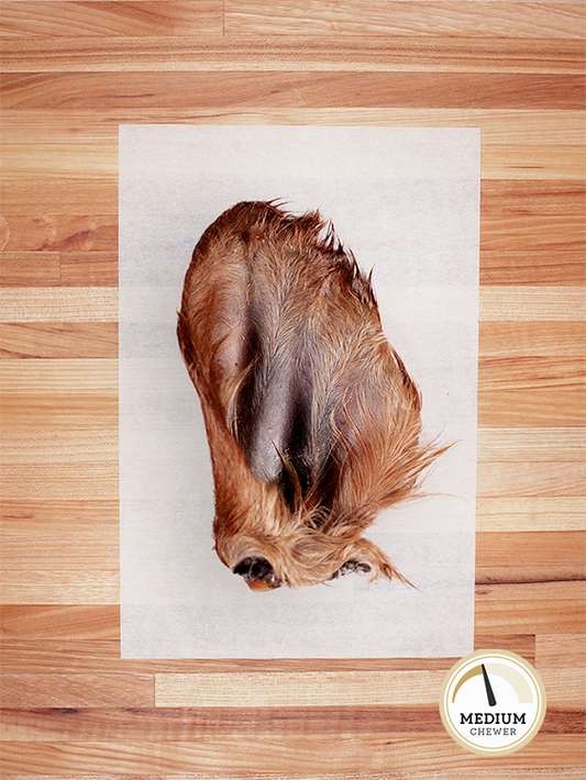 TREAT BAR - Beef Ear with Hair - 1 PIECE