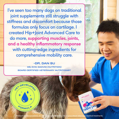 Native Pet - Hip+Joint Advanced Care Powder Joint, Muscle & Inflammation