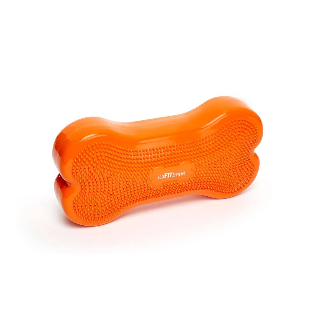 FitPAWS - Regular K9FITbone Dog Balance Training Platform