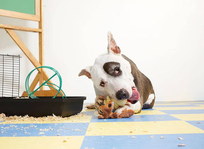 BARK Tinkles The Gerbil - Performance Dog Supply