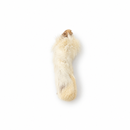 Bulk - Rabbit Feet with Fur – 30 Pack
