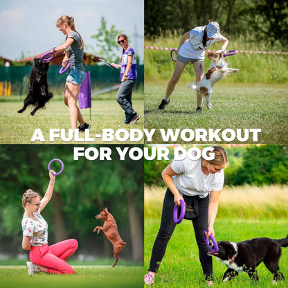 Puller - Agility Training Fetch Ring - Performance Dog Supply