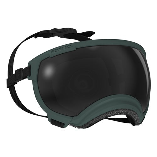 Extra Large V2 Rex Specs