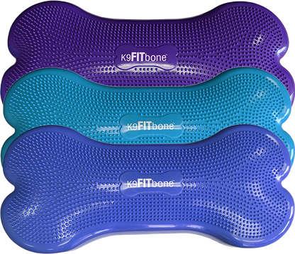 FitPAWS - Giant K9FITbone Dog Balance Training Platform