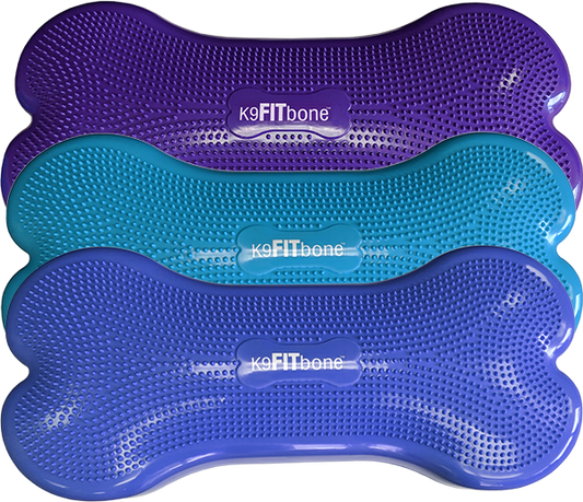 FitPAWS - Giant K9FITbone Dog Balance Training Platform