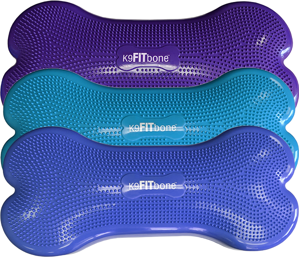 FitPAWS - Giant K9FITbone Dog Balance Training Platform