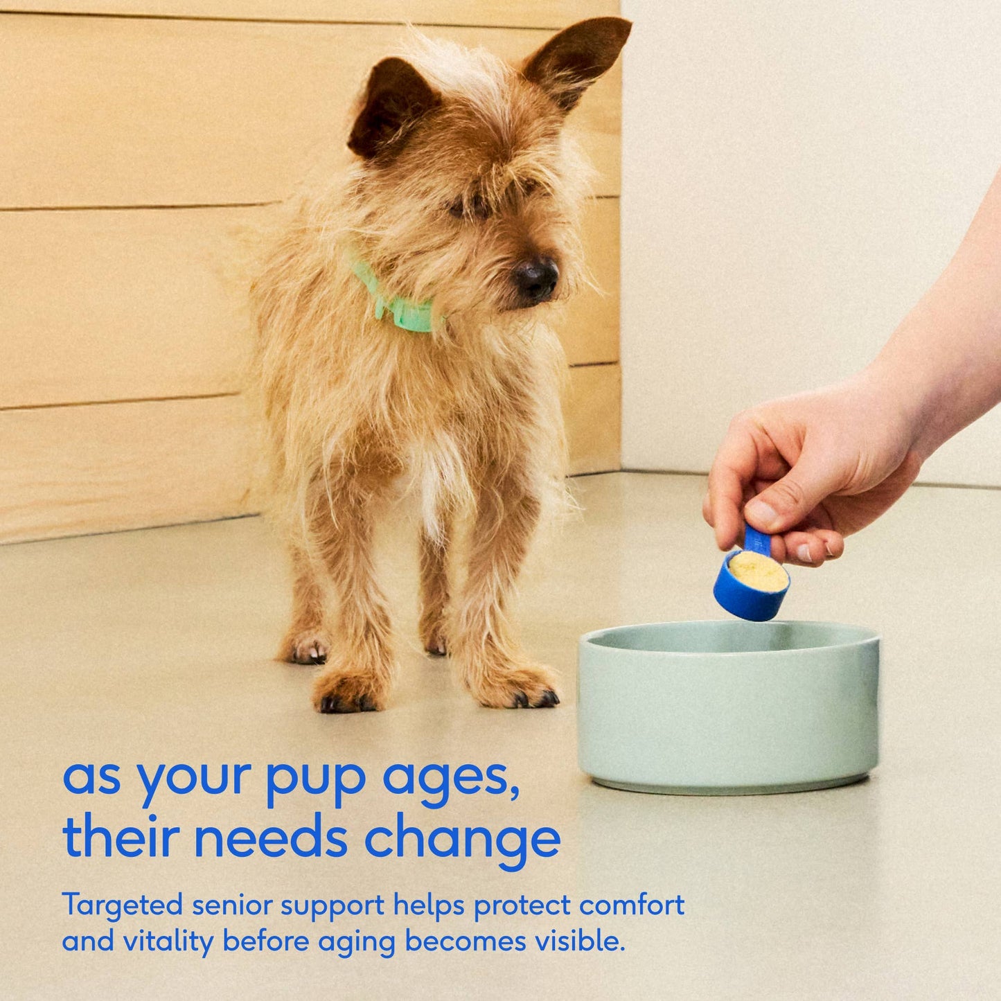Native Pet - Senior Daily 12-in-1 Multivitamin Powder Supplement for Dogs