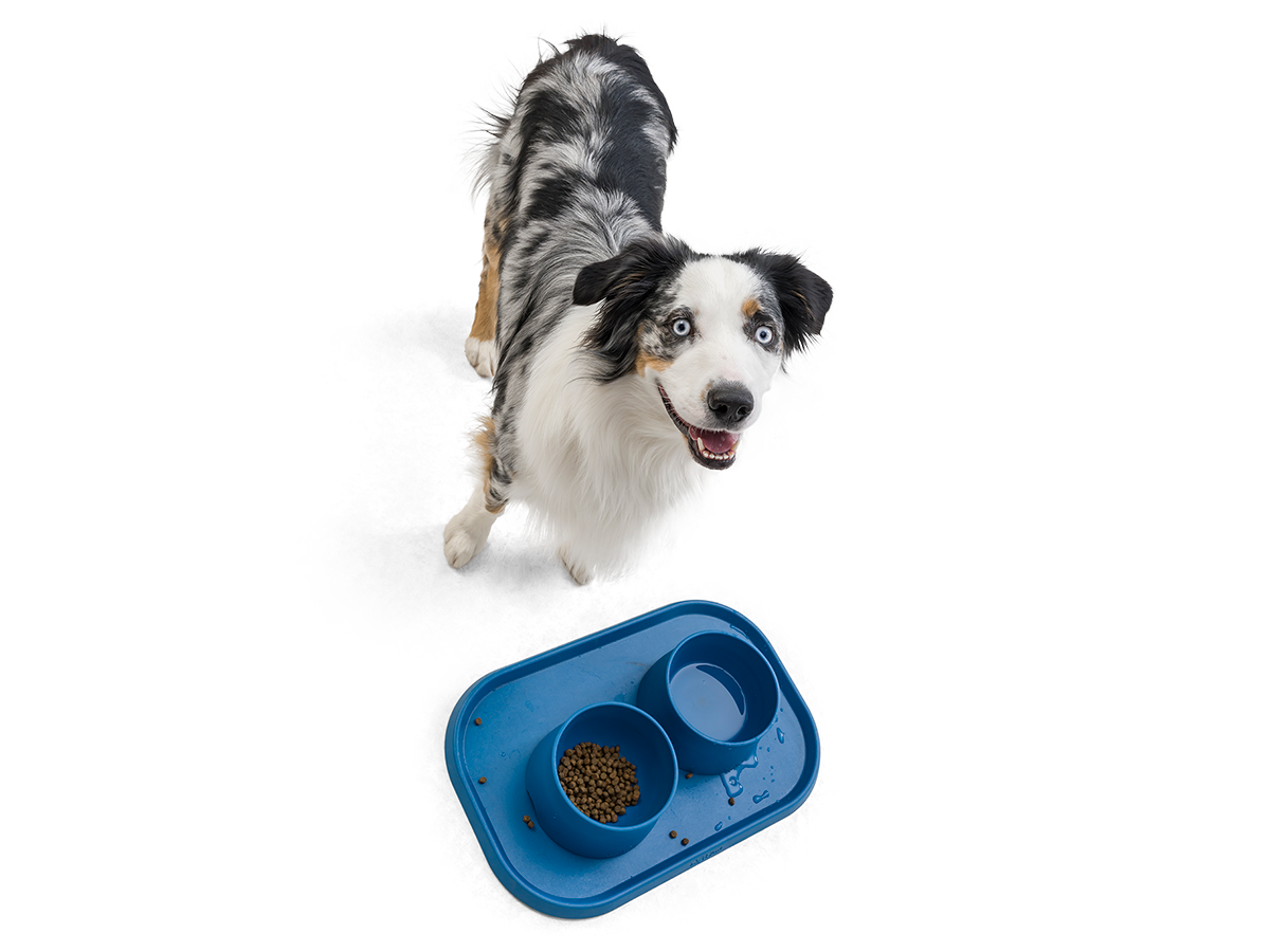 West Paw - No-Slip Dog Feeding Water Bowl