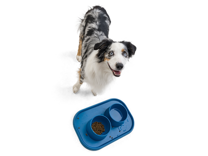 West Paw - No-Slip Dog Feeding Water Bowl