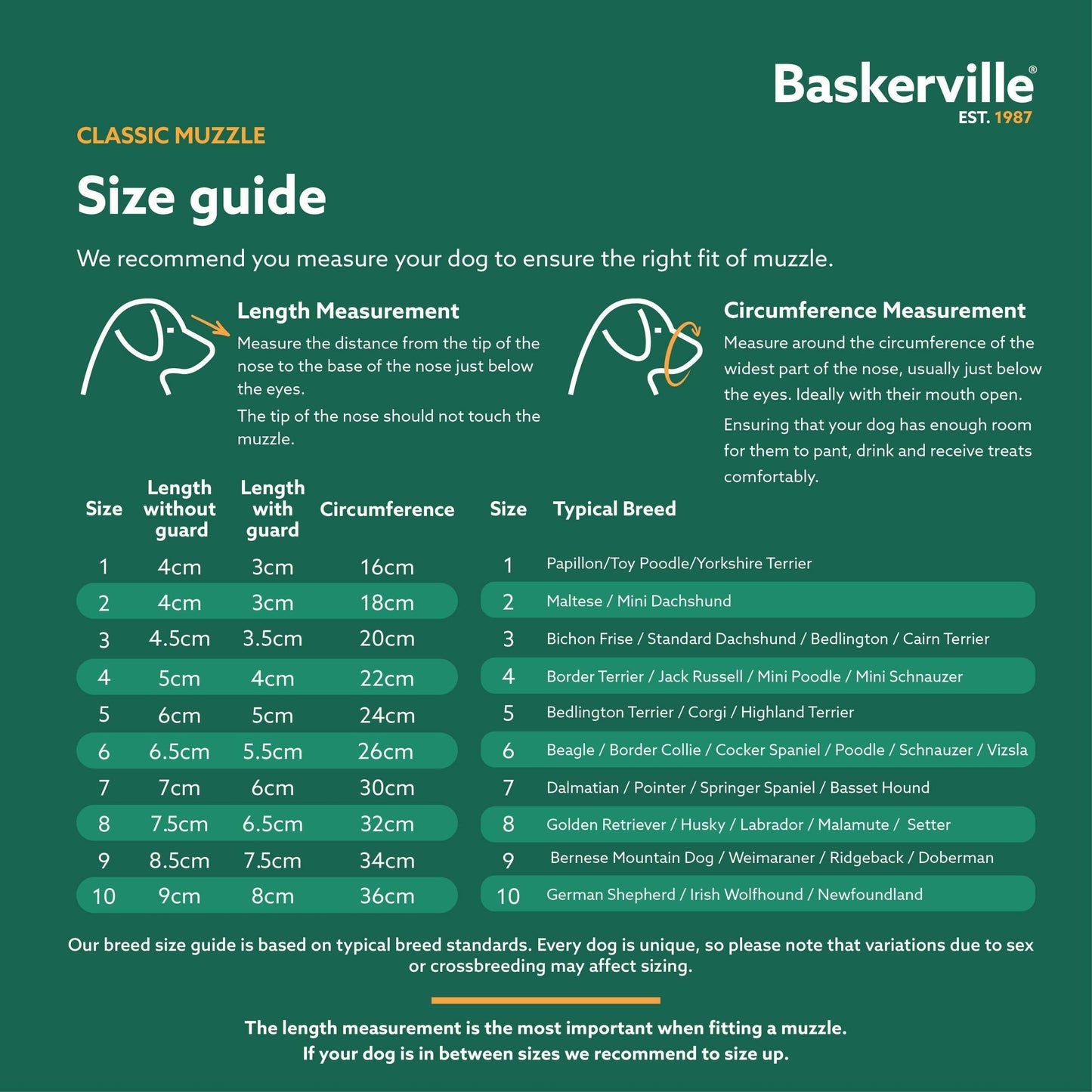 Baskerville Anti Scavenge Muzzle