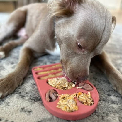 FreezPaw Mat - Performance Dog Supply