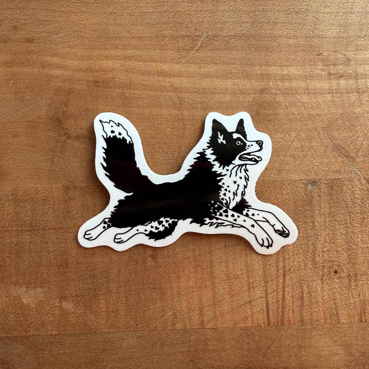 Border Collie Hearts 3.5 Inch Glossy Sticker