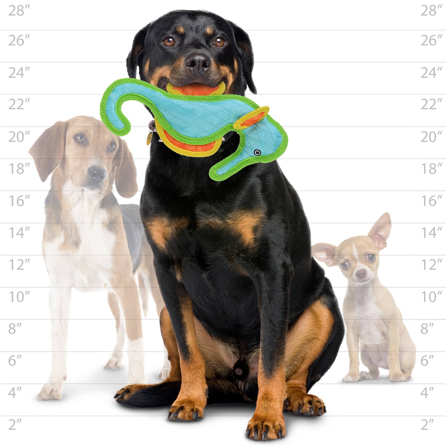 DuraForce Seahorse - Blue - Squeaky Dog Toy